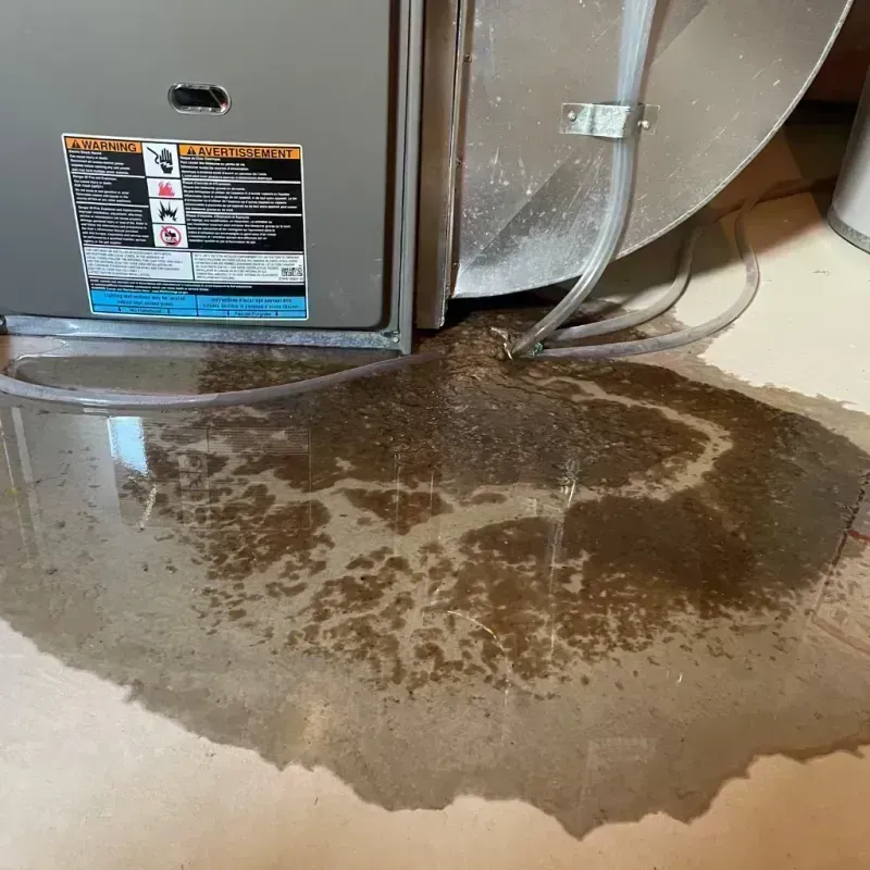 Appliance Leak Cleanup in Blackhawk, CA